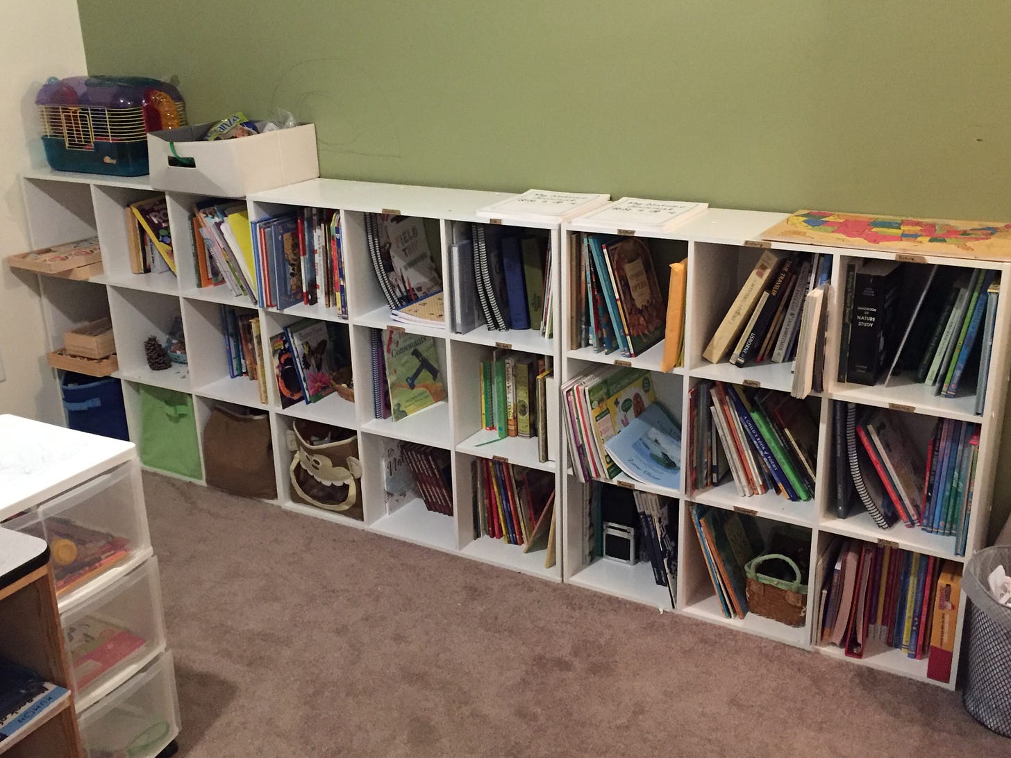 homeschool room shelving idea