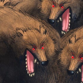 Don't mention the war!