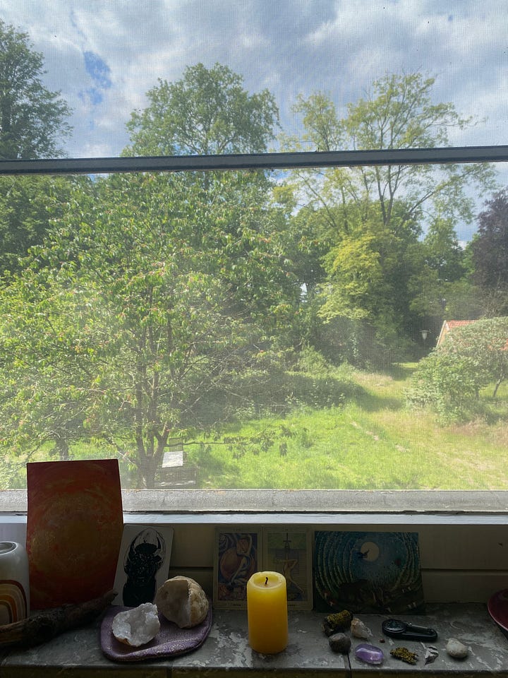 Uitzicht op kersenboom. Boomtakken waaraan groene en ook al rood geworden kersen groeien.