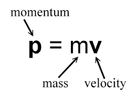 Momentum, Definition | Zona Land Education