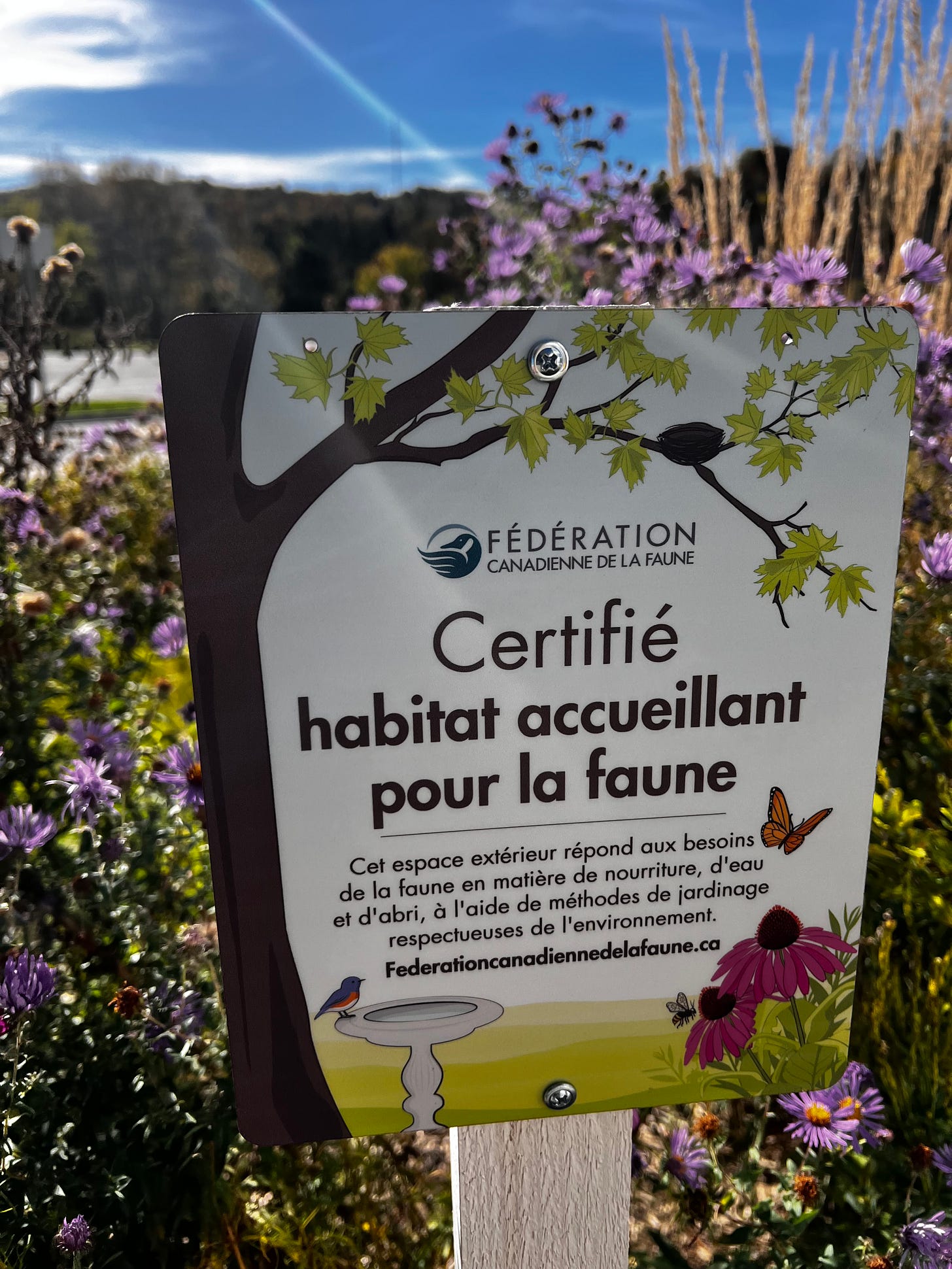 A sign about wildlife gardening on a post in from of flowering plants. A sign about wildlife gardening on a post in from of flowering plants.