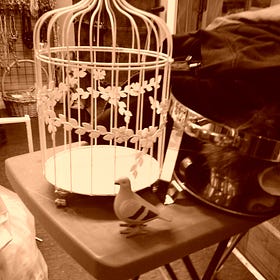 Chilltown Blues Photo Gallery 2024