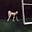 william proudler's avatar