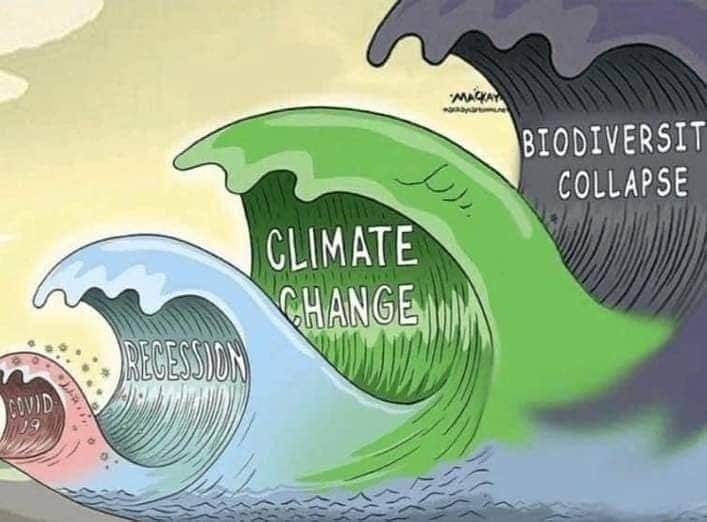 Why we treat the climate crisis differently than the COVID-19 crisis – and  why this needs to change | Organizing in Times of Crisis