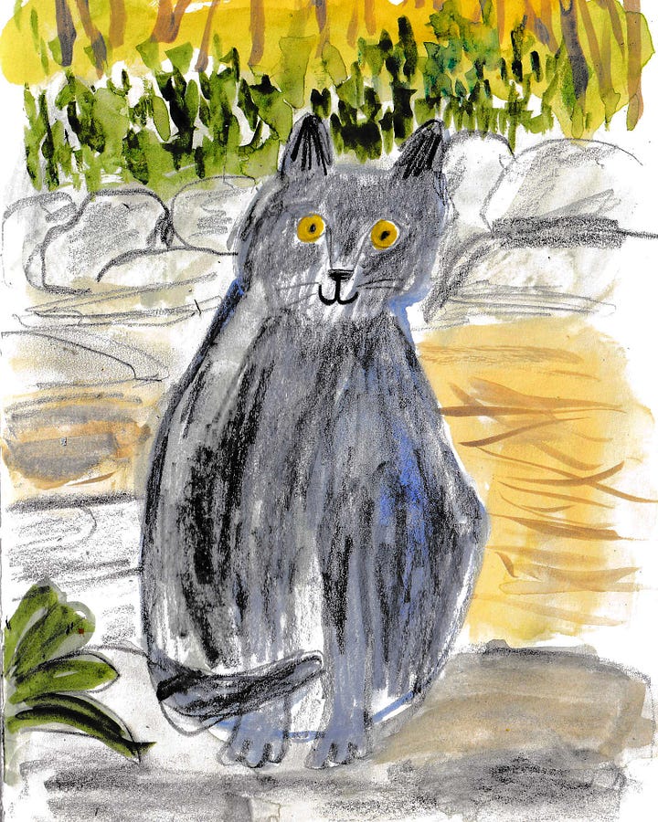 cat illustrations by Beth Spencer