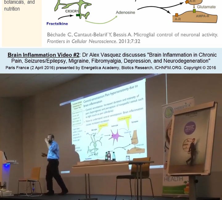 Chronic Pain (Paris France 2016, pt2) on Fibromyalgia + Neuroinflammation