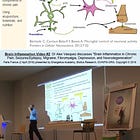Chronic Pain (Paris France 2016, pt2) on Fibromyalgia + Neuroinflammation