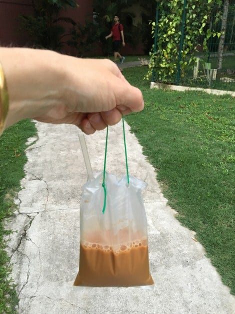 Tea in a Bag – Traveler Tina