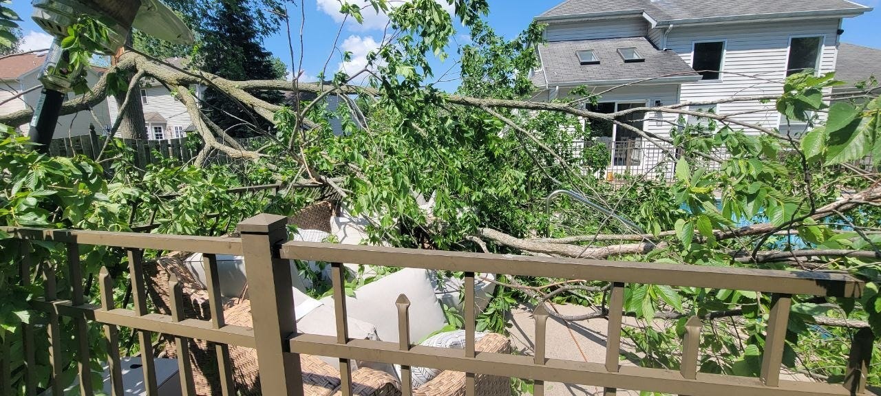 A large portion of the tree fallen onto the neighbor's pool deck