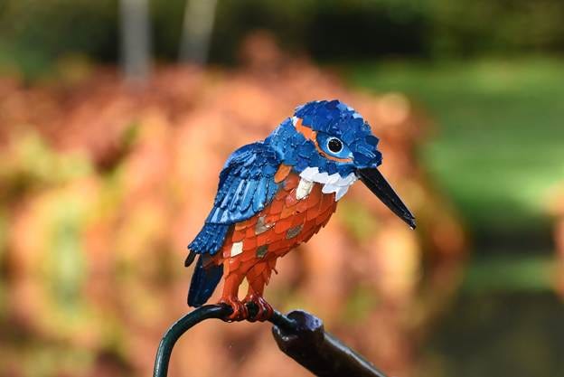 A bird on a branch

AI-generated content may be incorrect.