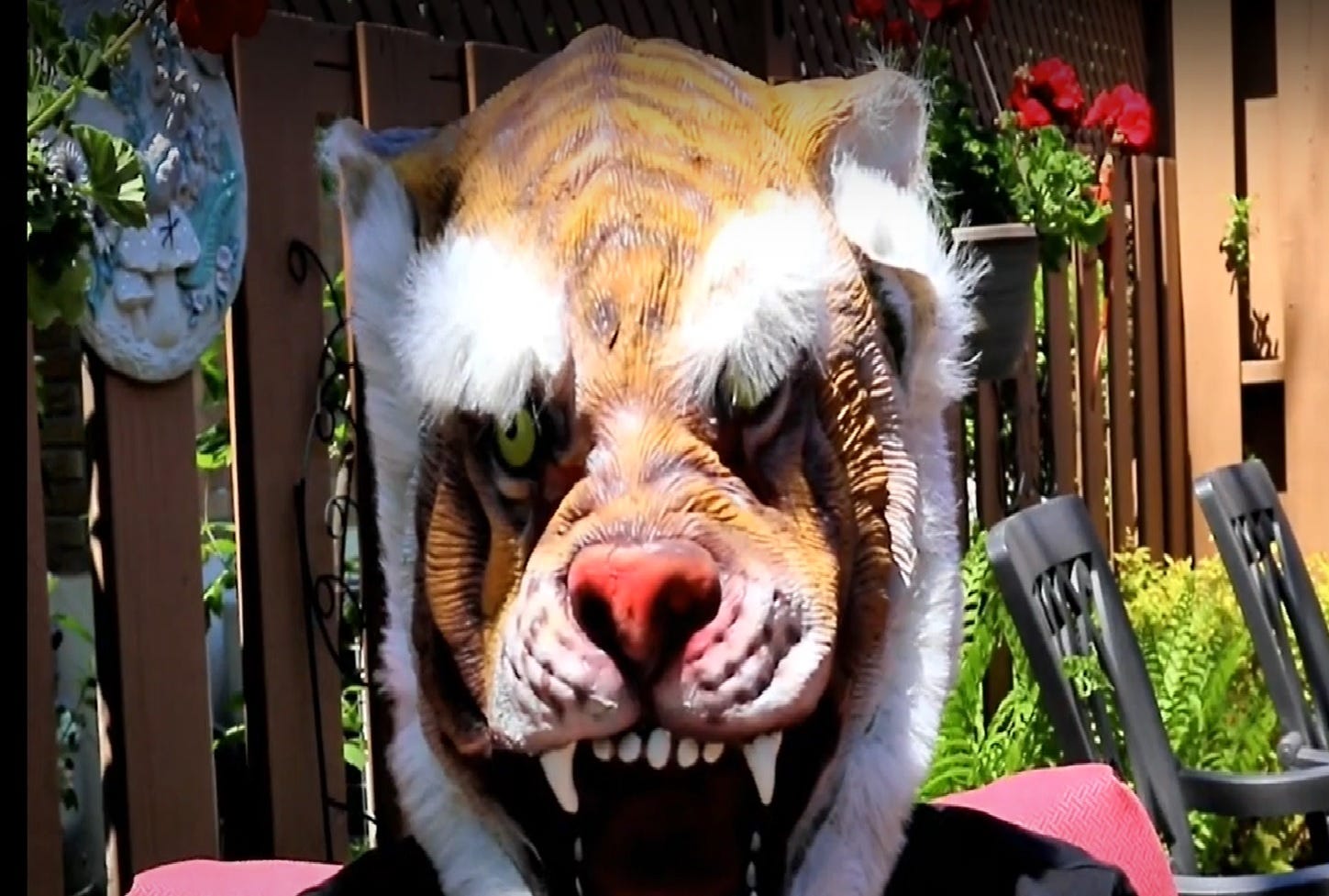 Joe wearing tiger mask
