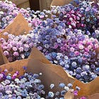 MUSINGS #8: IN BETWEEN