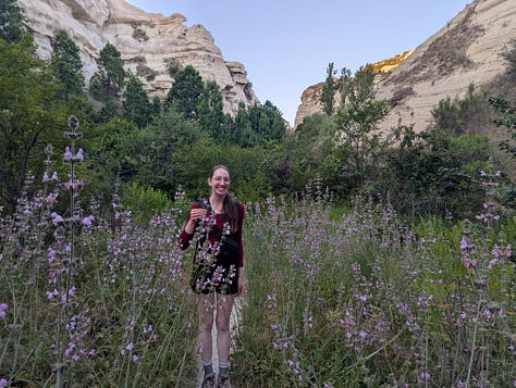 Exiting Zemi Valley and approaching Rose Valley