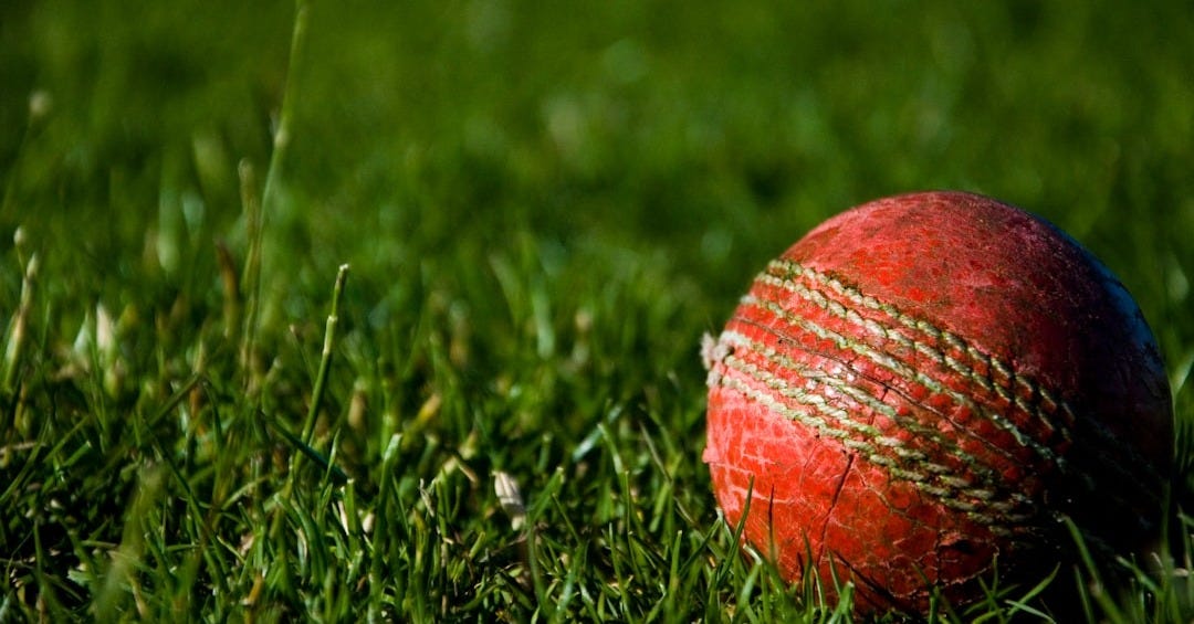 shallow focus photography of red cricket ball shallow focus photography of red cricket ball