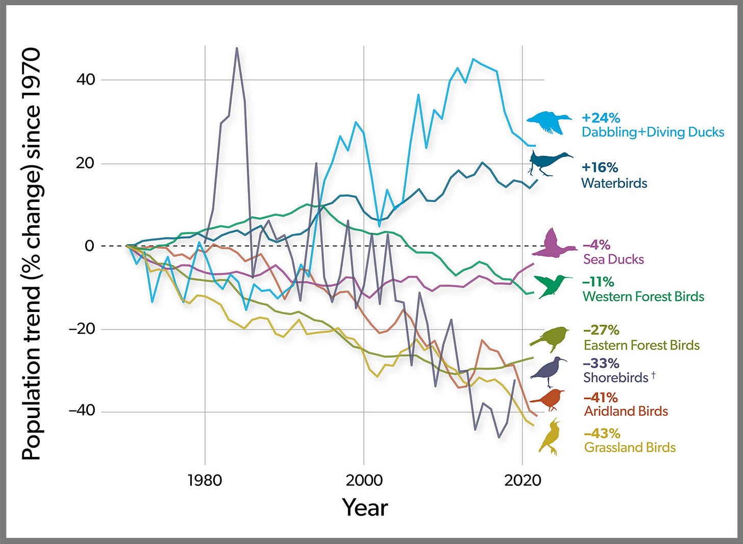 State of the Birds graph