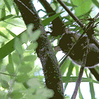 Now That's What I Call Terrorism. Tabs, Wed., March 4, 2026