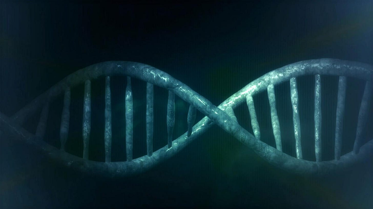 Human DNA. Credit: Виталий Смолыгин / PublicDomainPictures. Licenza: CC0 1.0. 