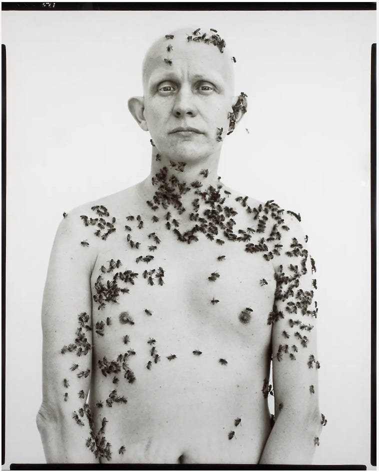 大竹伸朗 PORTRAITS by AVEDON PORTRAITS by AVEDON 18th july,1979 SHINRO OHTAKE 大竹伸朗