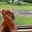 Gail Sawyer's avatar