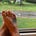 Gail Sawyer's avatar