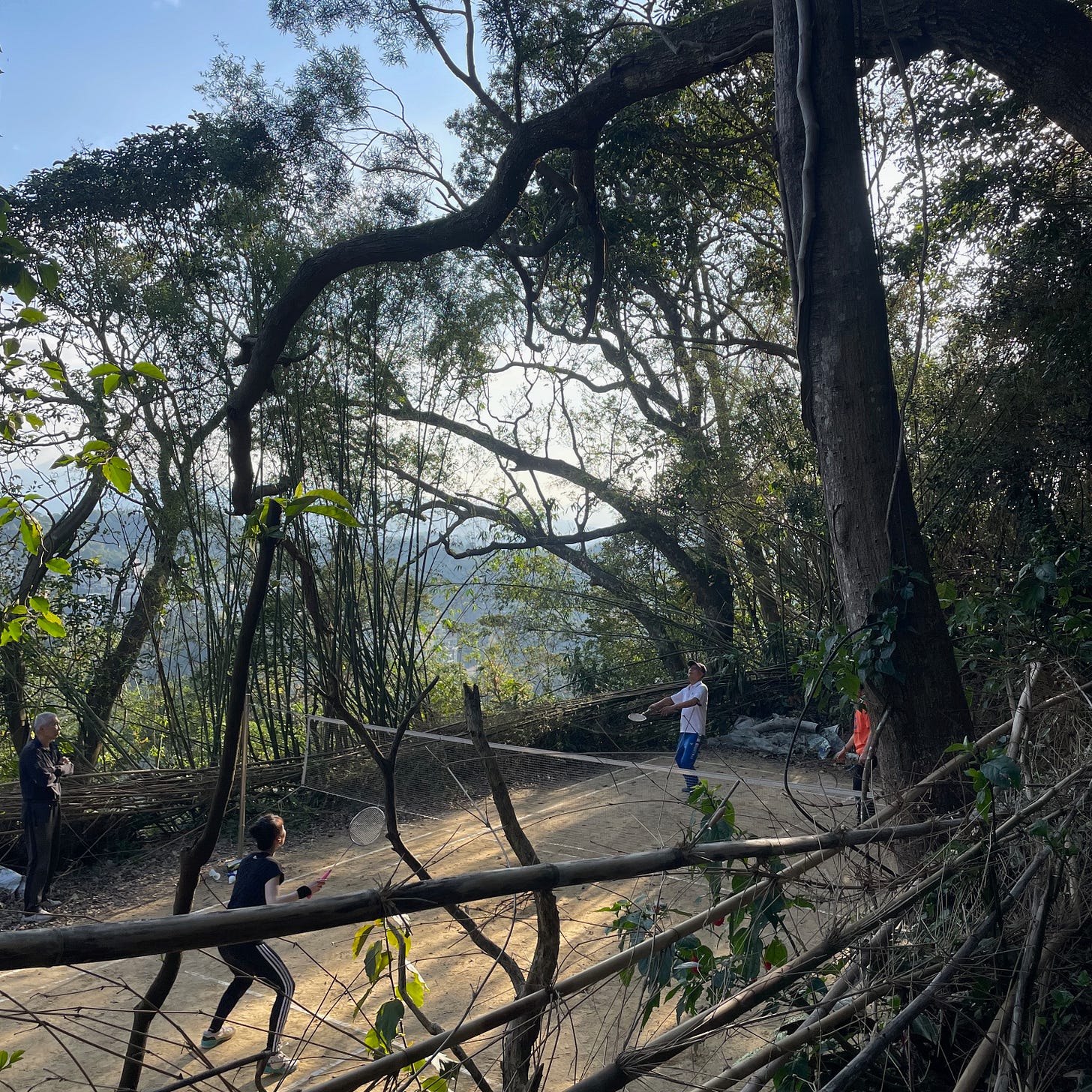 a view of an outdoor badminton court in a forest people in the middle of a game