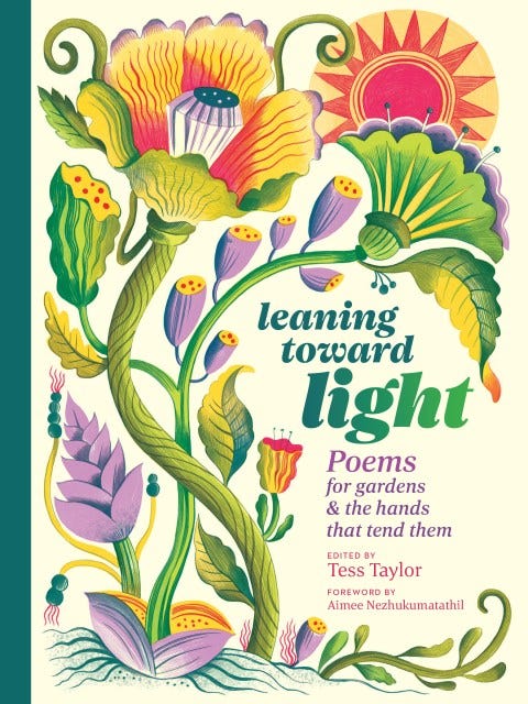 Leaning toward Light Leaning toward Light