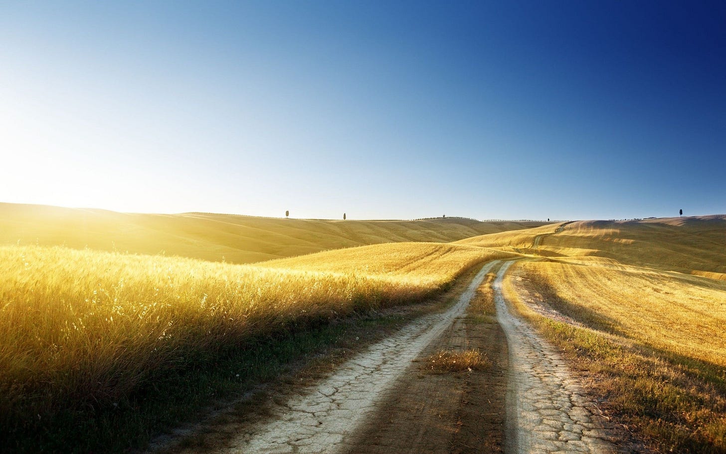 Path Desktop Wallpapers on WallpaperDog