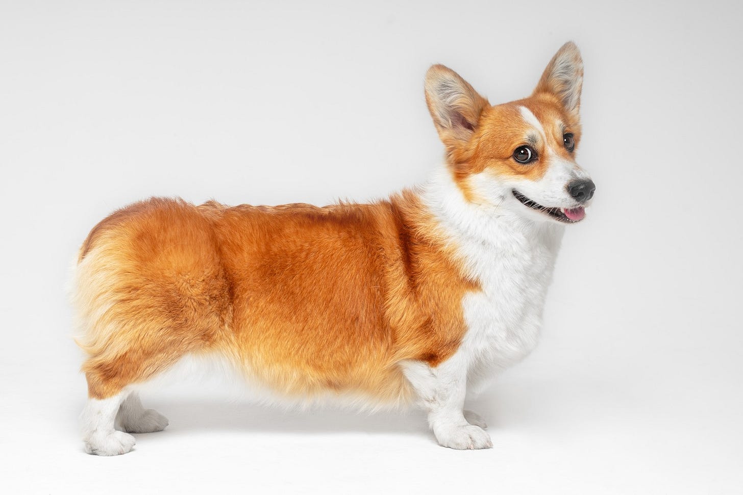 Image: Masarik / shutterstock.com