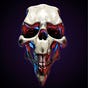 Ross Young (P3nT4gR4m)'s avatar