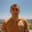 Yordan Ivanov's avatar