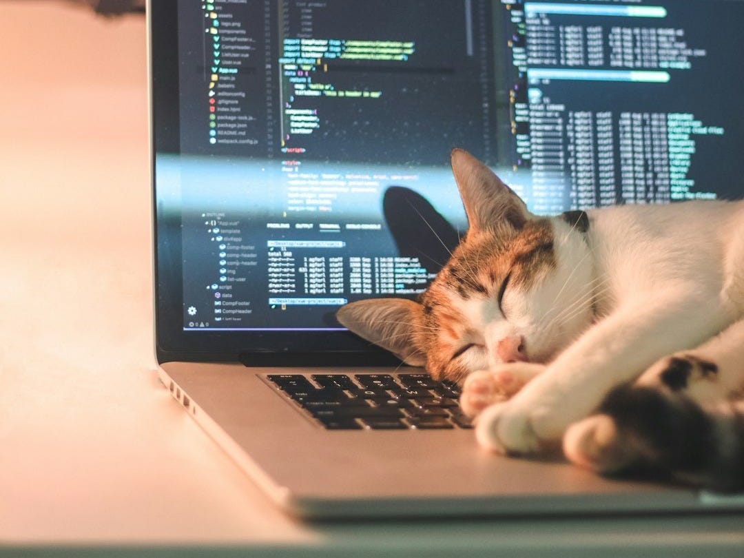 a cat laying on top of a laptop computer