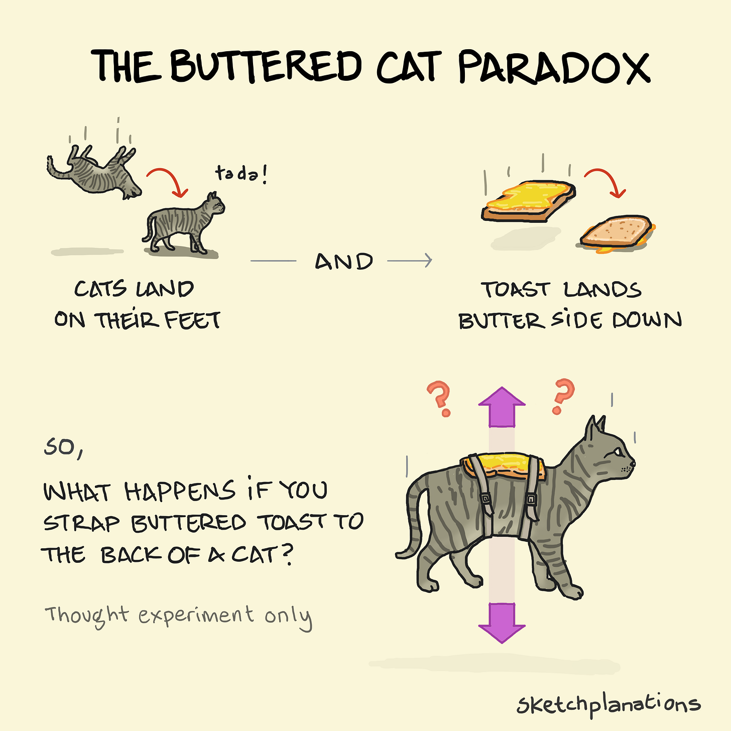 The Buttered Cat Paradox explained