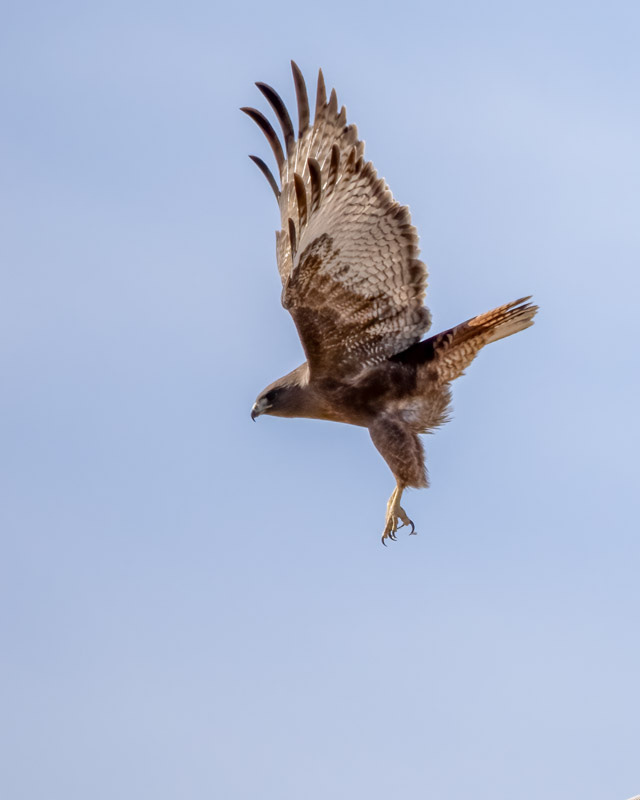 20240218-Yuma-473-Edit.jpg
