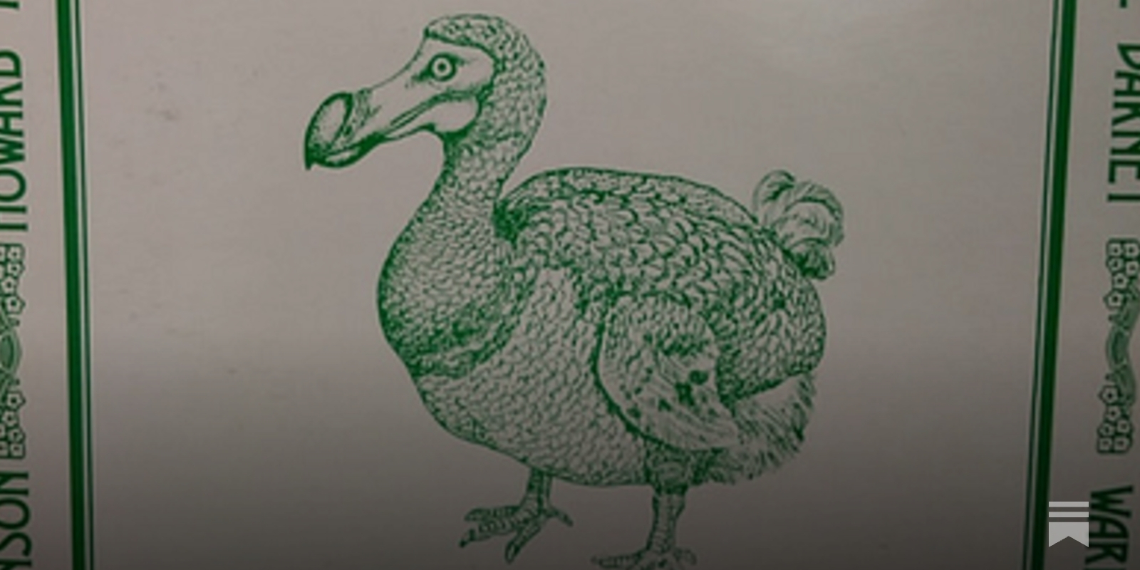 Friday Fun 07.24.2026 - BeachSloth's Newsletter