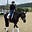 Dressage Diary's avatar