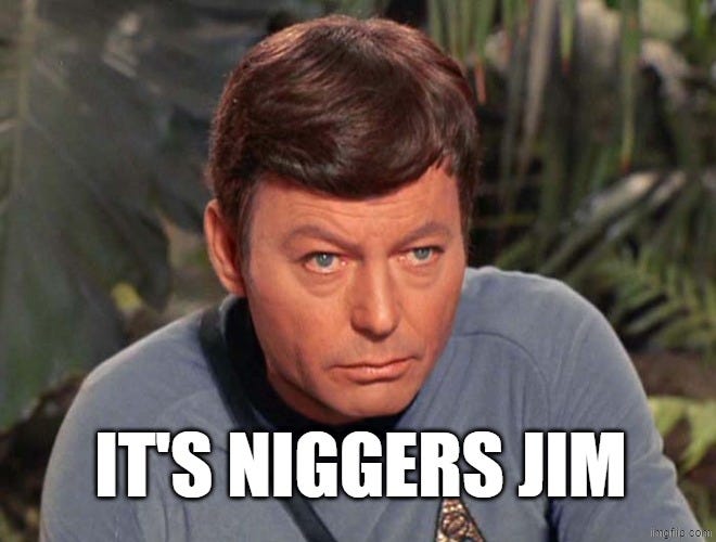 He's Dead Jim | it's niggers jim | image tagged in he's dead jim | made w/ Imgflip meme maker He's Dead Jim | it's niggers jim | image tagged in he's dead jim | made w/ Imgflip meme maker