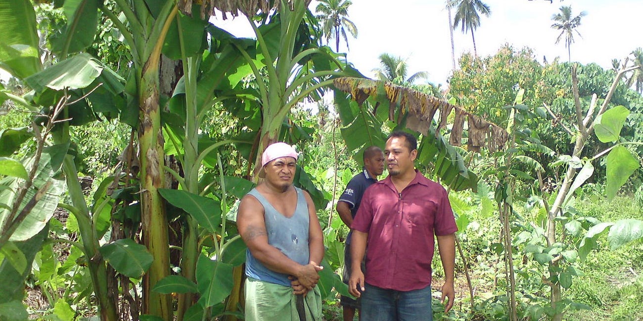 Complexity interlude