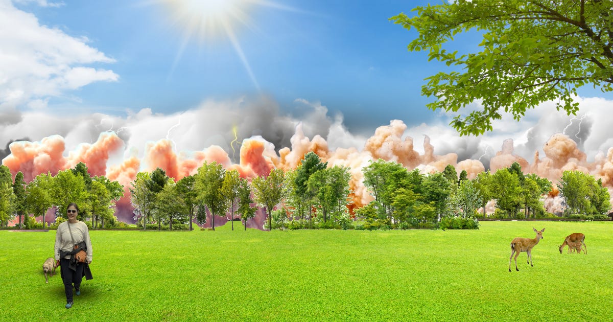 A person walking their dog on the left and some deer grazing on the right on the grass is in the foreground. In the background an ominous storm is rolling in with lightning and colorful clouds behind the treeline under a sunny blue sky in the background.