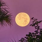 Sunshine Corner 1/2026