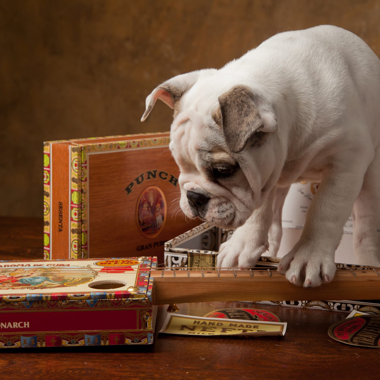 Creativity for the Rest of Us