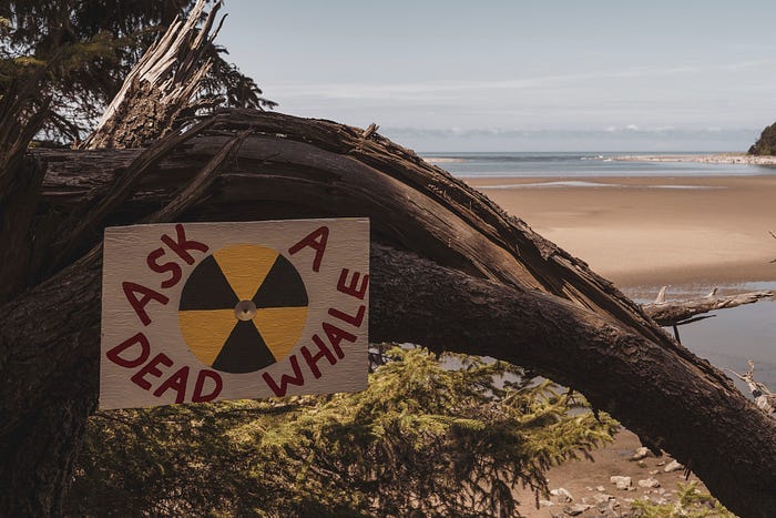 A radiation sign with the words: “Ask a dead whale.” A radiation sign with the words: “Ask a dead whale.”