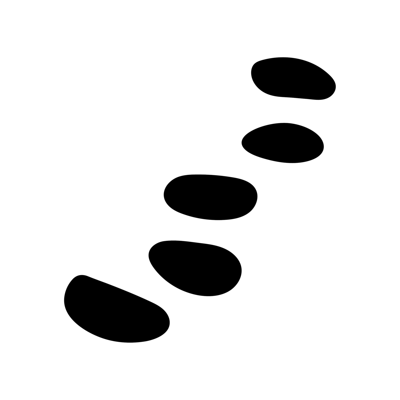 Glia