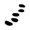 Glia