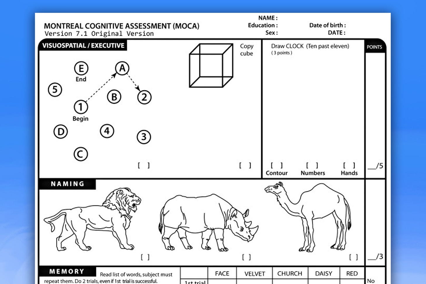 The Art of Taking a Cognitive Test - Wellness Letter