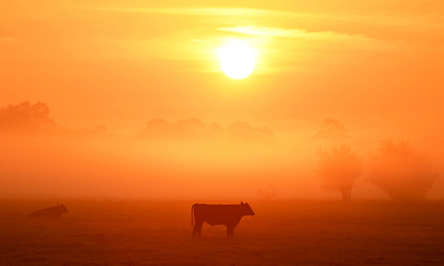 Sunrise on September 04, 2023 in Glastonbury, United Kingdom. (Photo by Harry Trump/Getty Images)