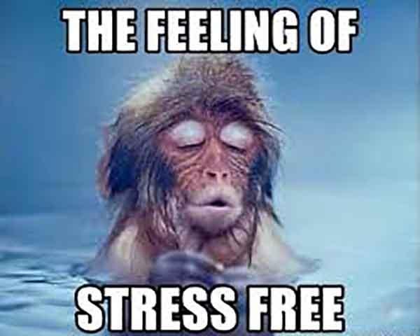 53 Best Stress Meme That Might Make You Laugh - Meme Central