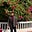 Dr. Anshul Sharma's avatar