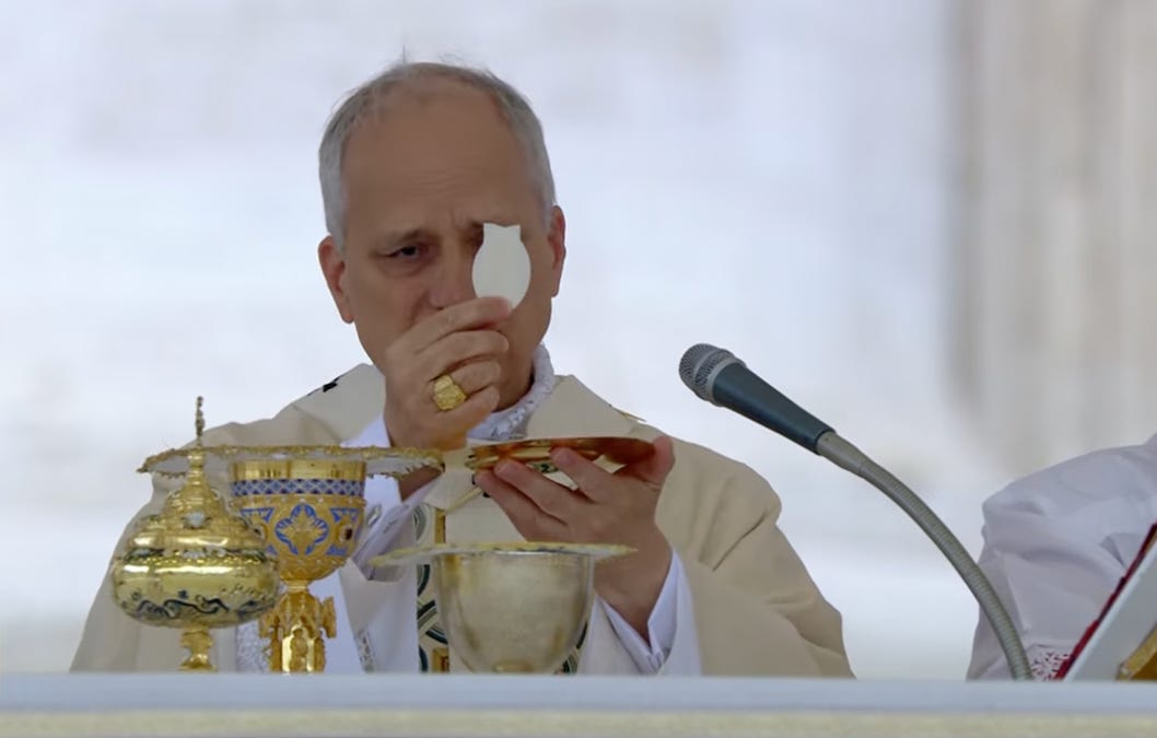 Leo XIV at inauguration Mass: ‘Look to Christ!’ 
