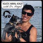 Dr. Angel's Holistic Health Group
