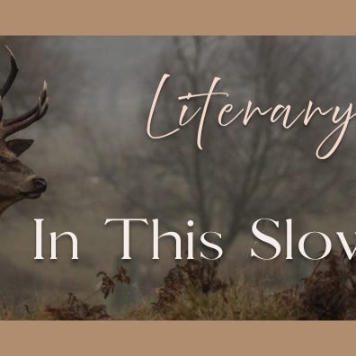 Literary Gypsy - In This Slow Undoing